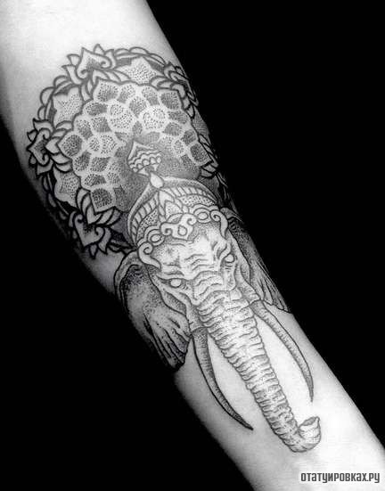 Фотография татуировки под названием «Слон и узор»