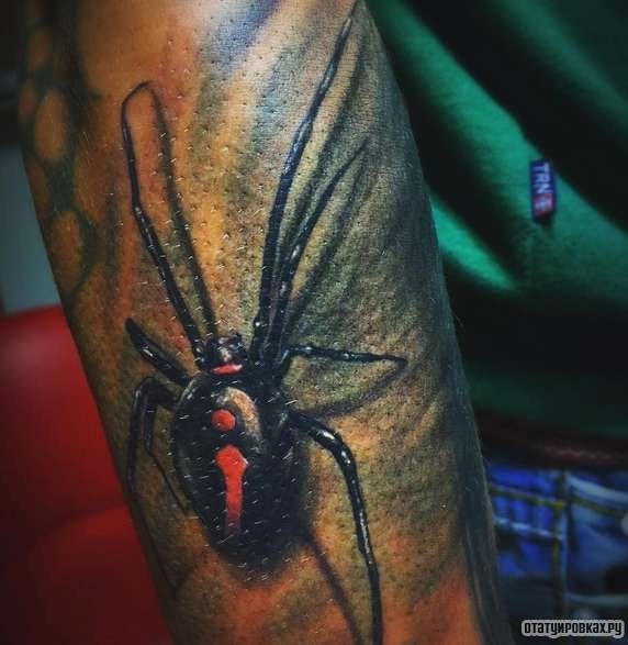 Фотография татуировки под названием «Паук с красным пятном»