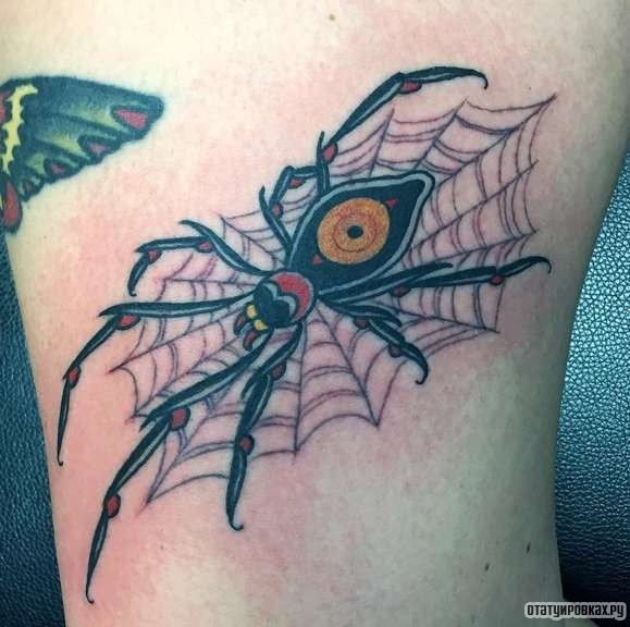 Фотография татуировки под названием «Паук на паутине»