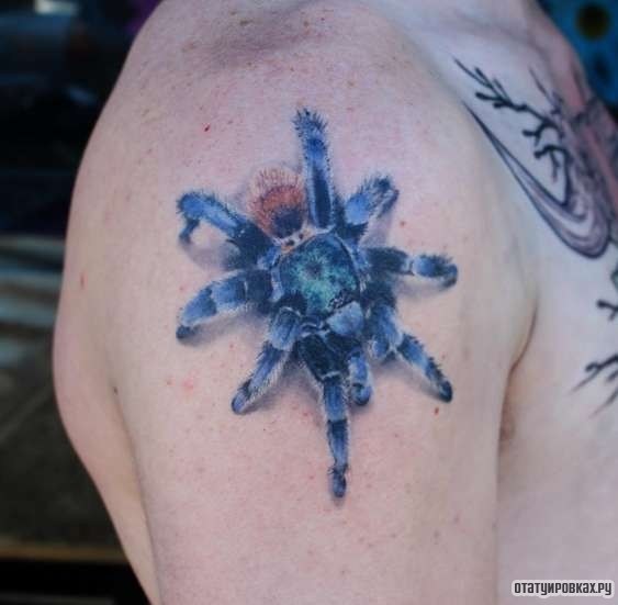 Фотография татуировки под названием «Паук в голубом цвете»