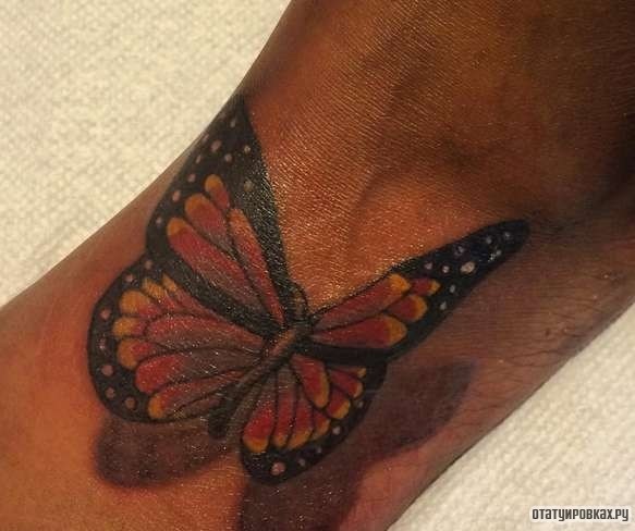 Фотография татуировки под названием «Бабочка в полете»