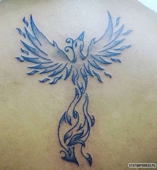 Фотография татуировки под названием «Феникс узор»