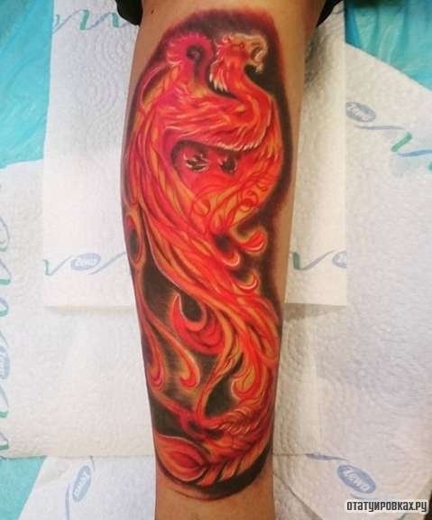 Фотография татуировки под названием «Феникс на темном фоне»