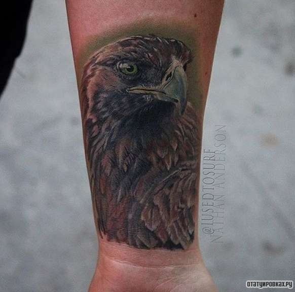 Фотография татуировки под названием «Орел на природе»