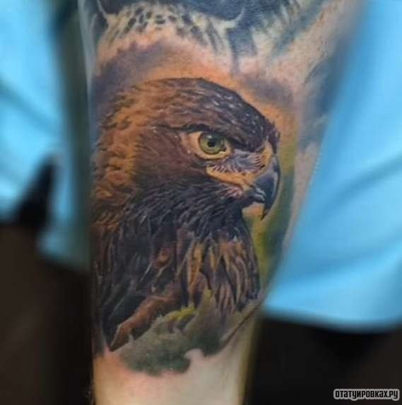 Фотография татуировки под названием «Орел в красках»
