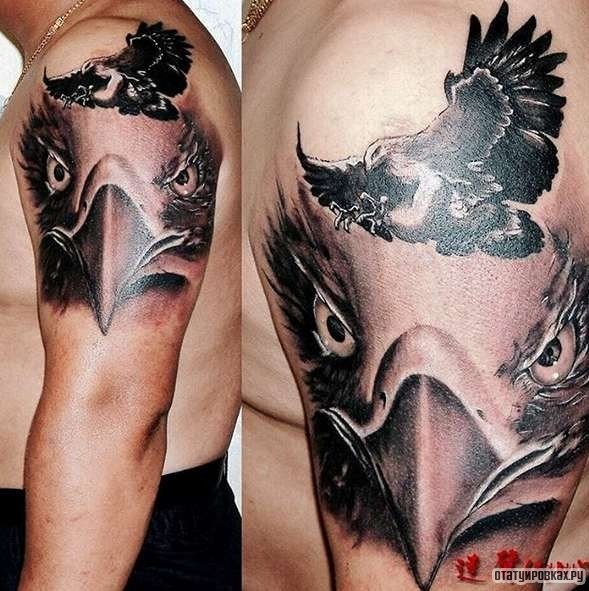 Фотография татуировки под названием «Орел в полете на фоне другого орла»