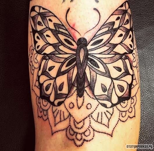 Фотография татуировки под названием «Бабочка с узорами на крыльях»