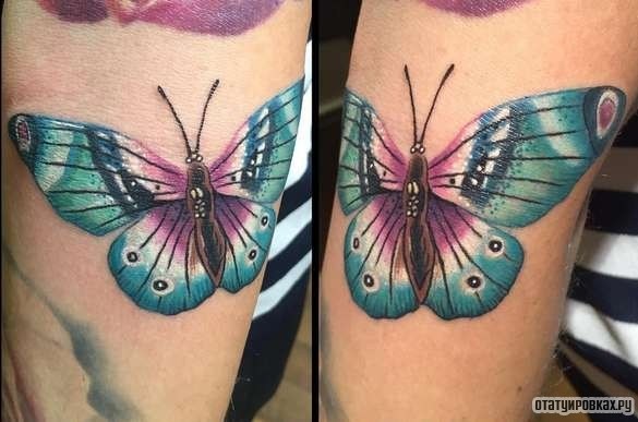 Фотография татуировки под названием «Большая красивая бабочка»