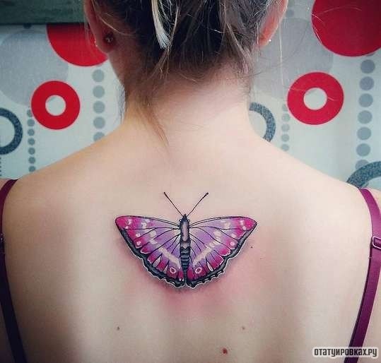 Фотография татуировки под названием «Розовая бабочка с большими крыльями»