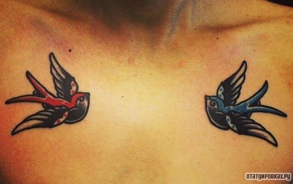 Фотография татуировки под названием «Красная и синяя ласточки»