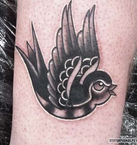 Фотография татуировки под названием «Ласточка с открытым клювом»