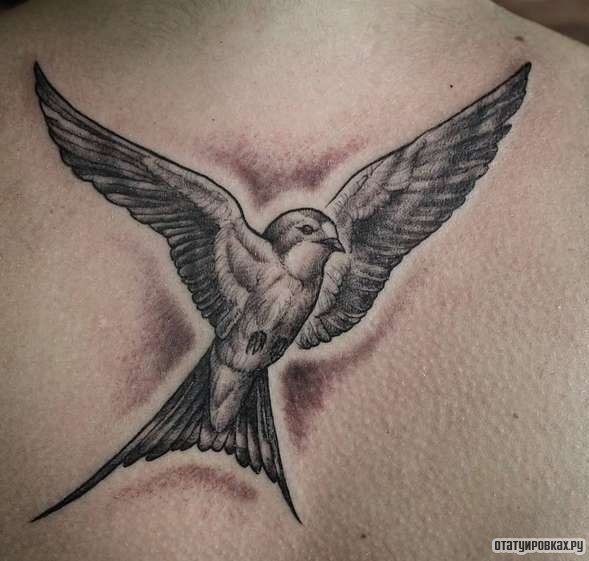 Фотография татуировки под названием «Ласточка с большим размахом крыльев»