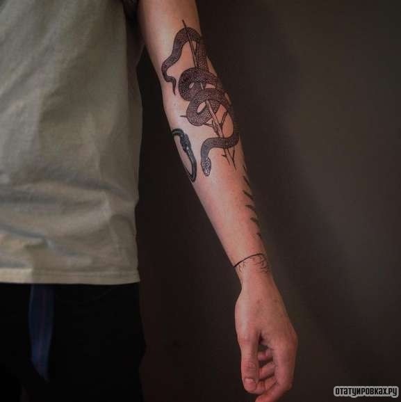 Фотография татуировки под названием «Змея обвивает ветку»