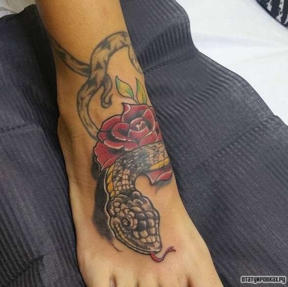 Фотография татуировки под названием «Змея с розой»