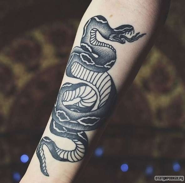 Фотография татуировки под названием «Змея чб»