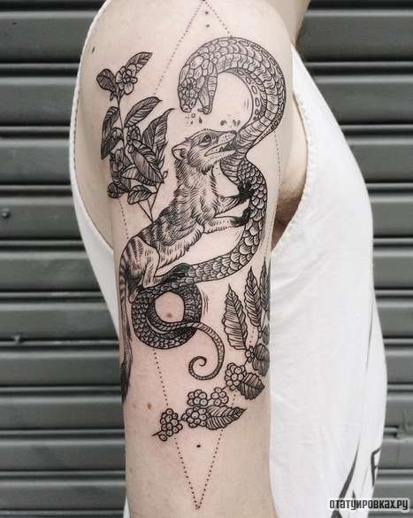 Фотография татуировки под названием «Змея против мангуста»