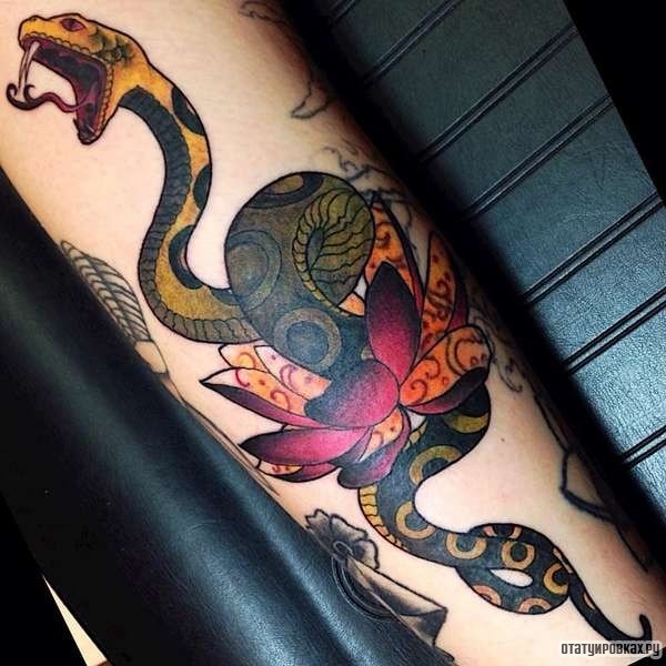 Фотография татуировки под названием «Змея и лотос»