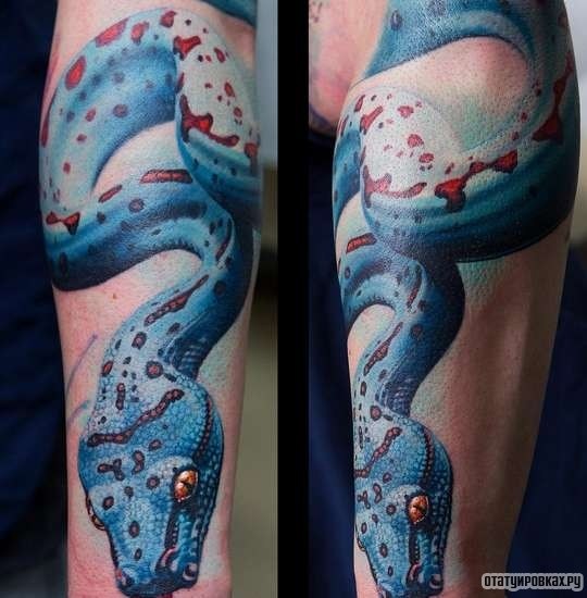 Фотография татуировки под названием «Синяя змея»