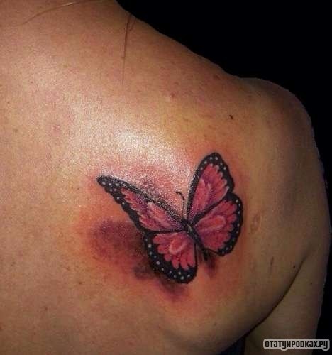 Фотография татуировки под названием «Бабочка с розовыми крыльями»