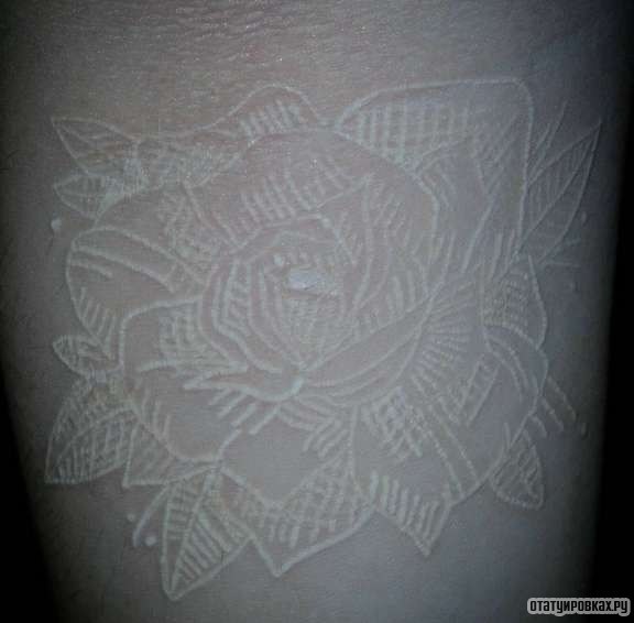 Фотография татуировки под названием «Белая роза»