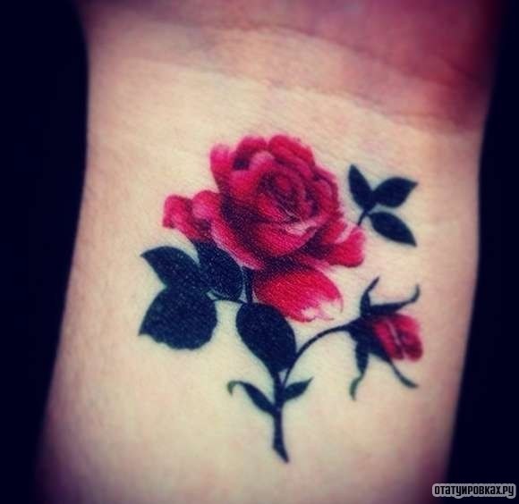 Фотография татуировки под названием «Красивая роза с листьями»