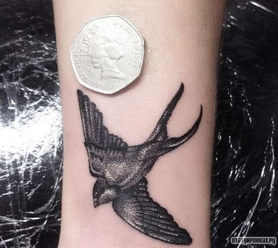 Фотография татуировки под названием «Ласточка вниз»