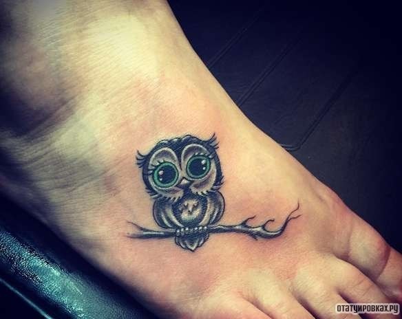 Фотография татуировки под названием «Совенок на ветке дерева»