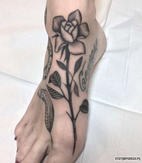 Фотография татуировки под названием «Цветок розы»