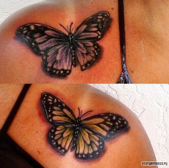 Фотография татуировки под названием «Два варианта бабочек»