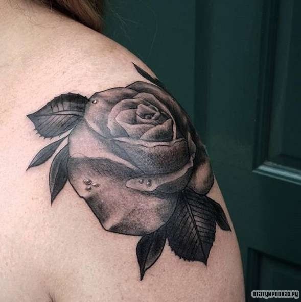 Фотография татуировки под названием «Роза сб»