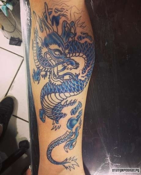 Фотография татуировки под названием «Дракон в синем цвете»