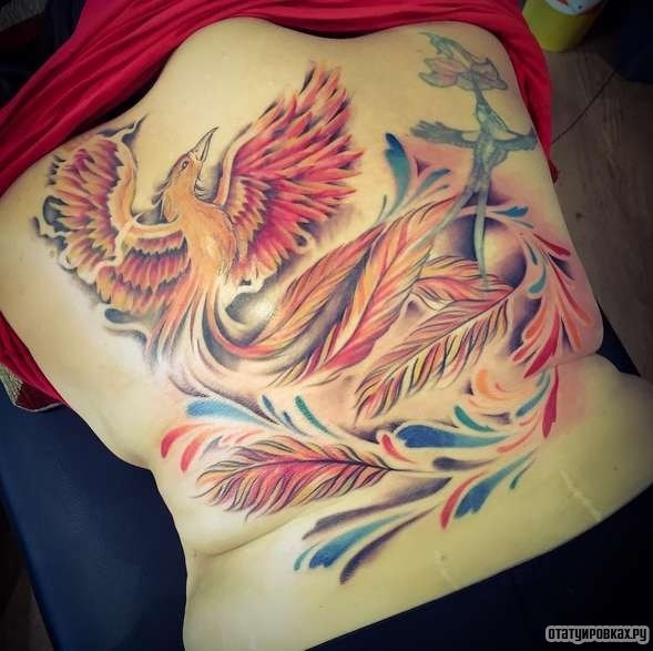 Фотография татуировки под названием «Жар птица с перьями»