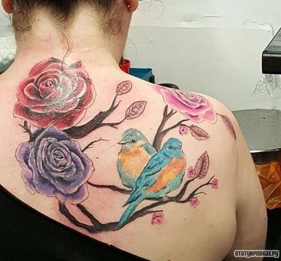 Фотография татуировки под названием «Розы и снегири»