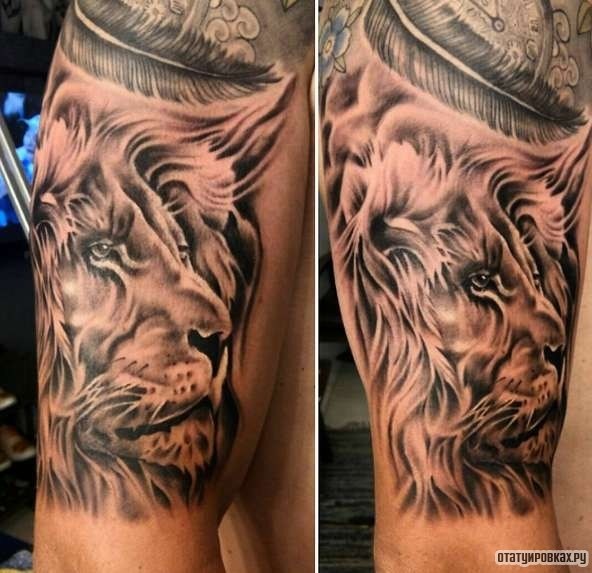 Фотография татуировки под названием «Лев в коже»