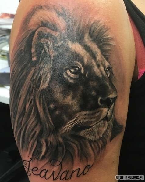 Фотография татуировки под названием «Лев - царь зверей»