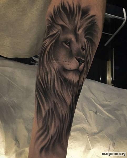 Фотография татуировки под названием «Лев с пышной гривой»