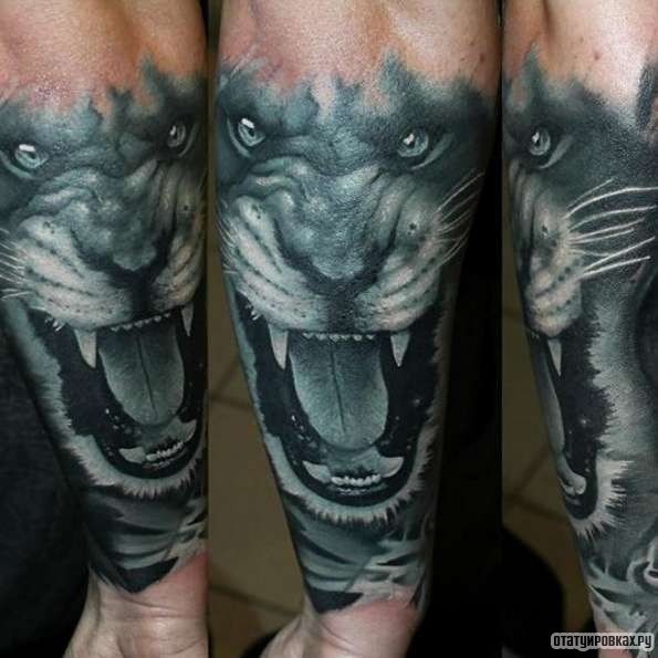 Фотография татуировки под названием «Оскал льва чб»