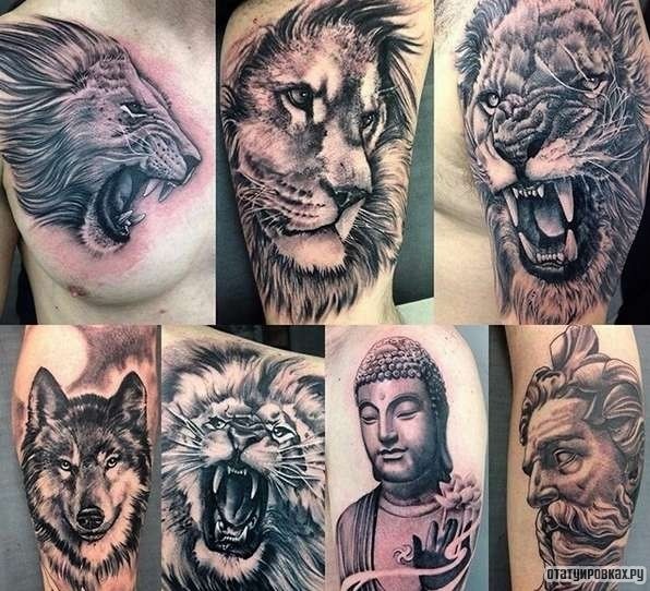 Фотография татуировки под названием «Варианты оскалов льва»