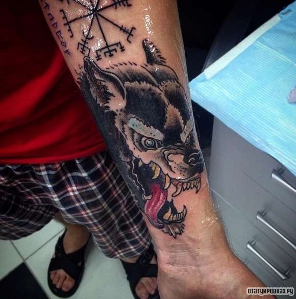 Фотография татуировки под названием «Страшный волк»