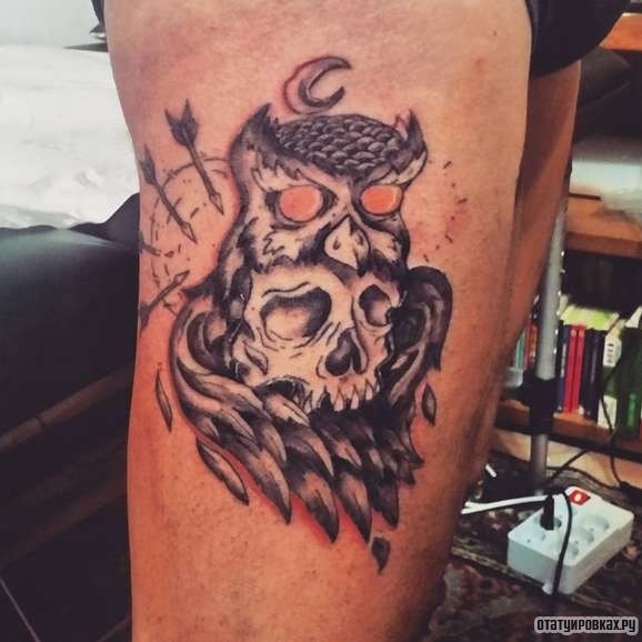 Фотография татуировки под названием «Сова и череп»