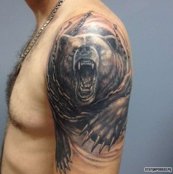 Фотография татуировки под названием «Медведь в цепи»