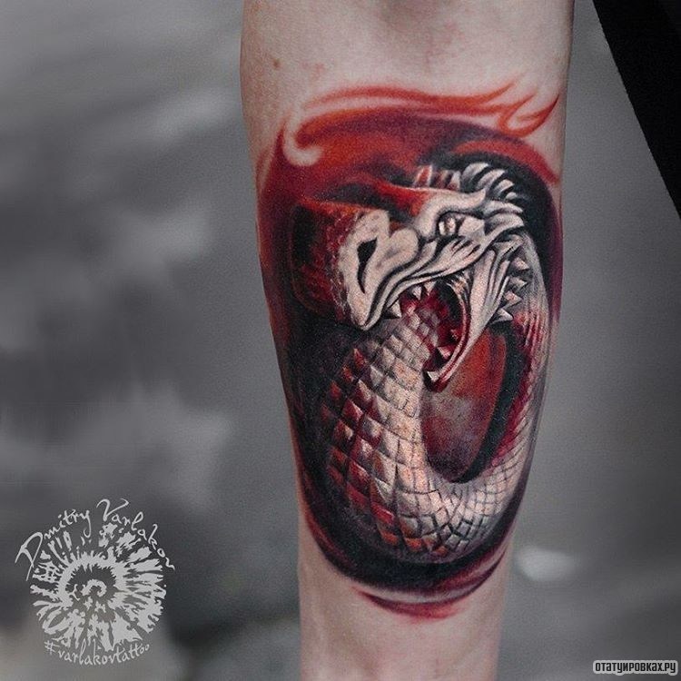 Фотография татуировки под названием «Дракон - уроборос»