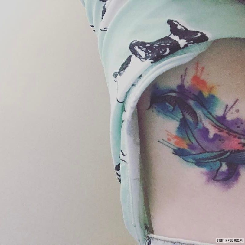 Фотография татуировки под названием «Кит в красках»
