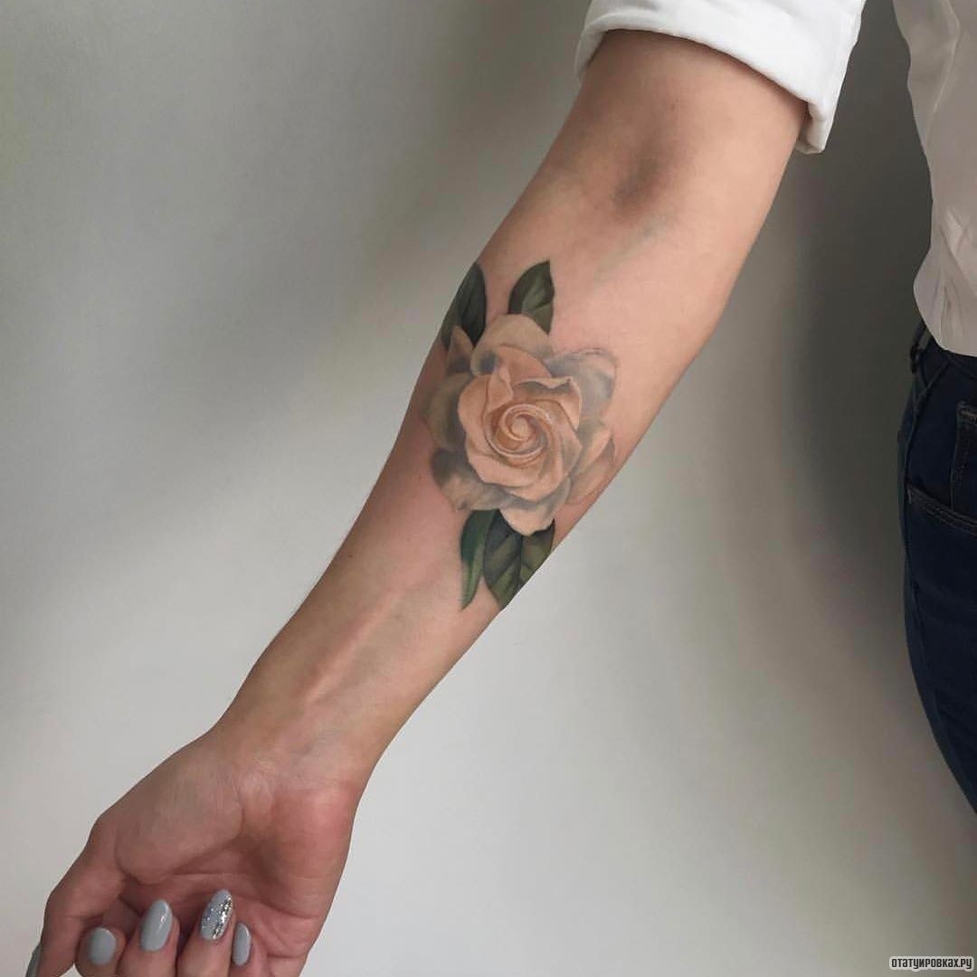 Фотография татуировки под названием «Нежная белая роза»