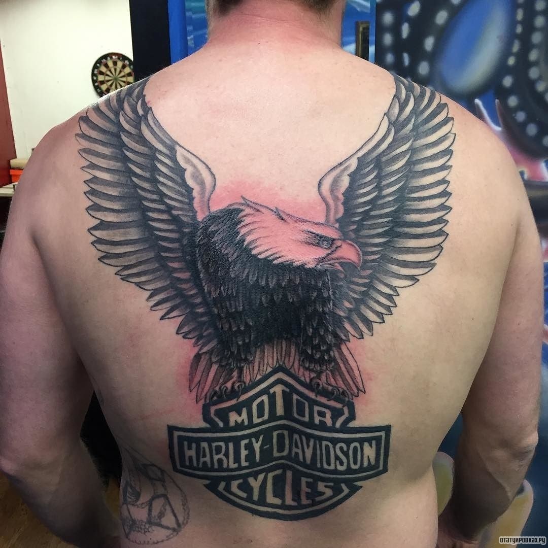 Фотография татуировки под названием «Орел с крыльями и надписью»
