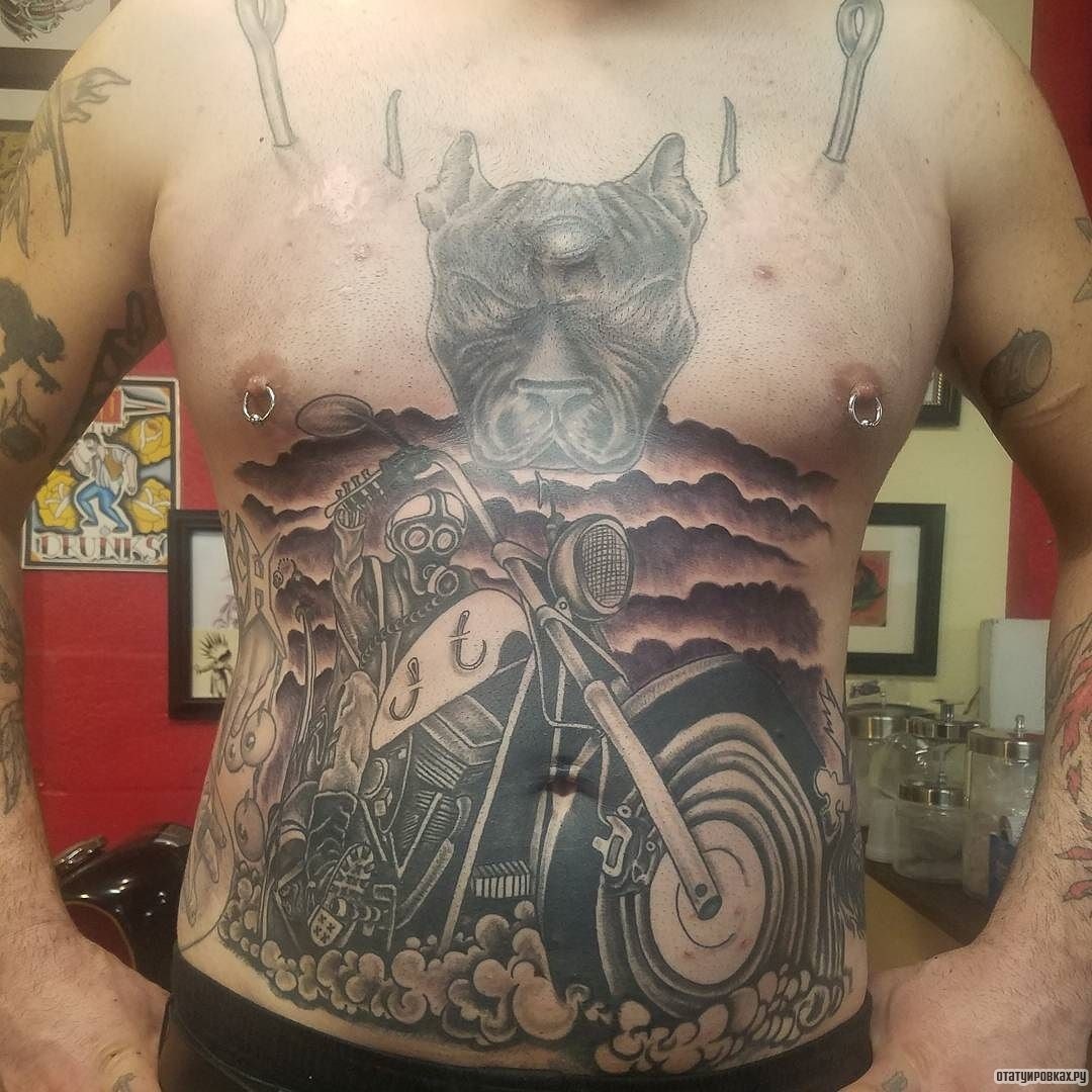 Фотография татуировки под названием «Питбуль и байкер»