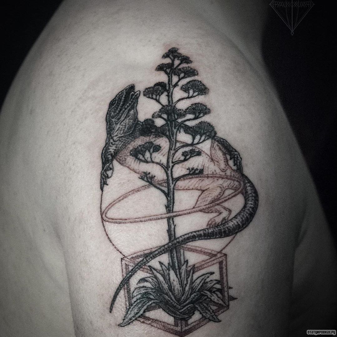 Фотография татуировки под названием «Ящерица и дерево»