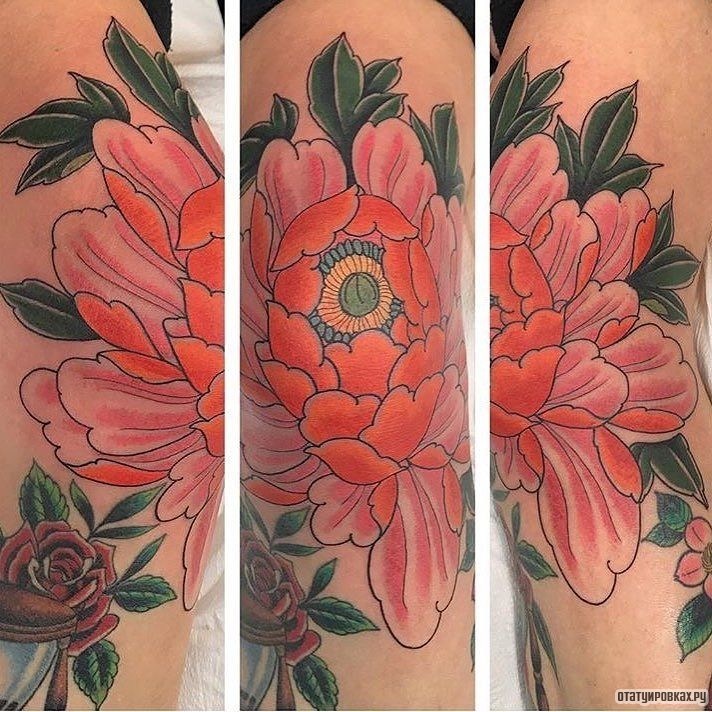 Фотография татуировки под названием «Розовый пион»