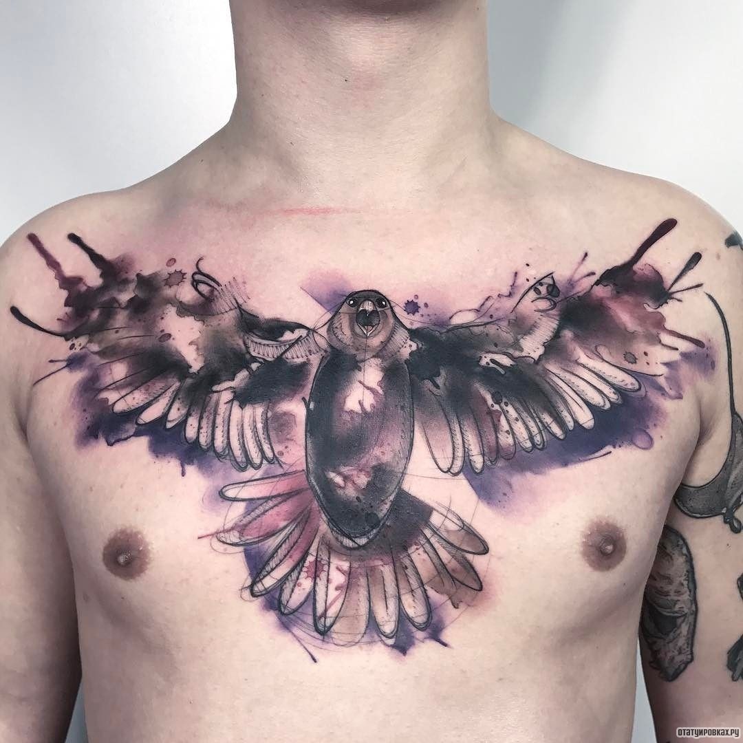 Фотография татуировки под названием «Сокол с размахом крыльев»