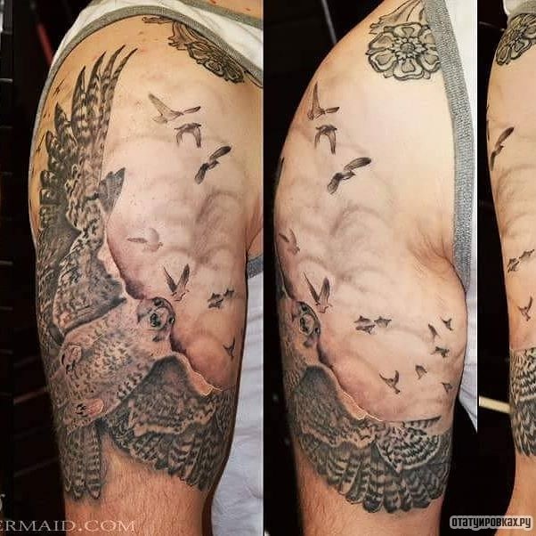 Фотография татуировки под названием «Сокол и птицы»